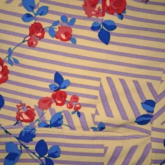 3 FOR 12 SALE Lularoe Tall & Curvy Leggings Floral Stripe - Picture 7 of 8